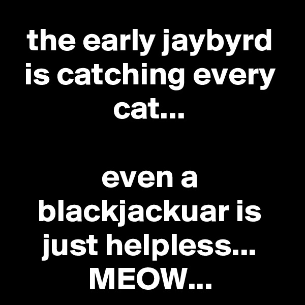 the early jaybyrd is catching every cat...

even a blackjackuar is just helpless...
MEOW...