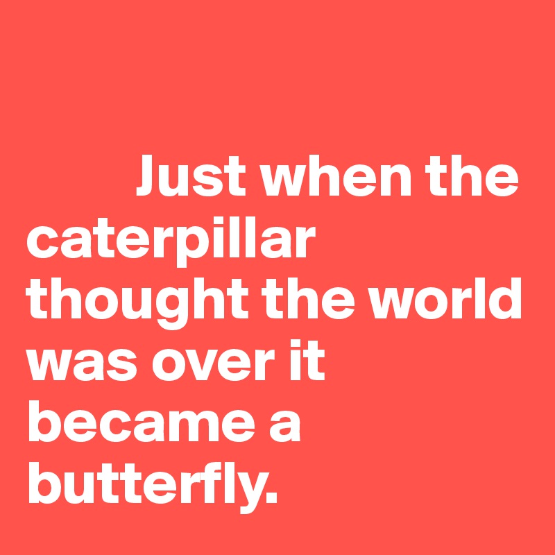

         Just when the caterpillar   thought the world                  was over it   became a butterfly.