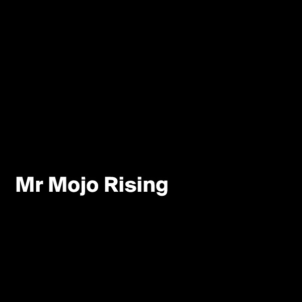 






Mr Mojo Rising



