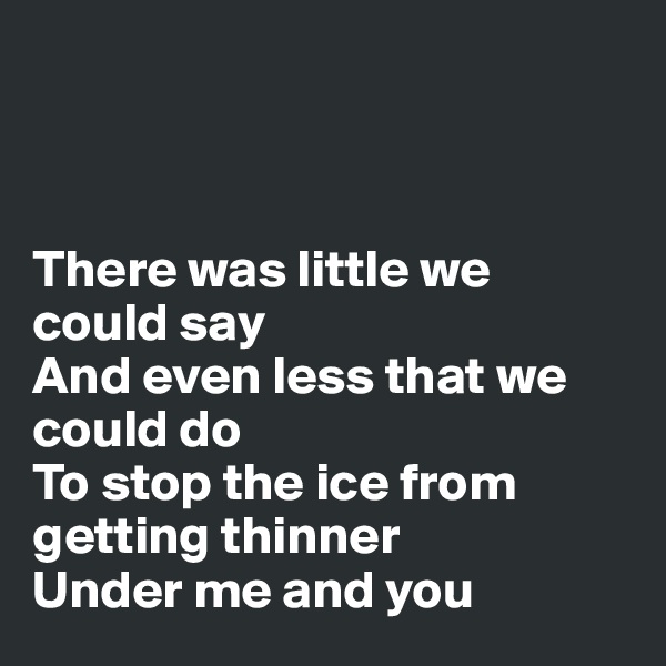 



There was little we could say
And even less that we could do
To stop the ice from getting thinner
Under me and you
