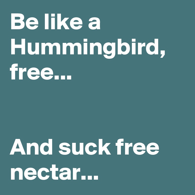 Be like a Hummingbird, free...


And suck free nectar...