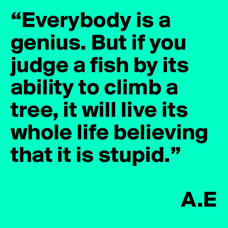 “Everybody is a genius. But if you judge a fish by its ability to climb a tree, it will live its whole life believing that it is stupid.”

                                      A.E