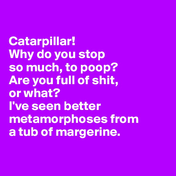 

Catarpillar!
Why do you stop 
so much, to poop?
Are you full of shit,
or what?
I've seen better metamorphoses from 
a tub of margerine.

