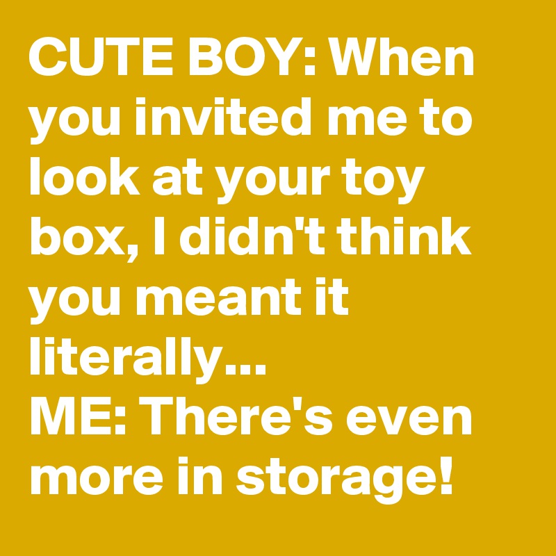CUTE BOY: When you invited me to look at your toy box, I didn't think you meant it literally...
ME: There's even more in storage!