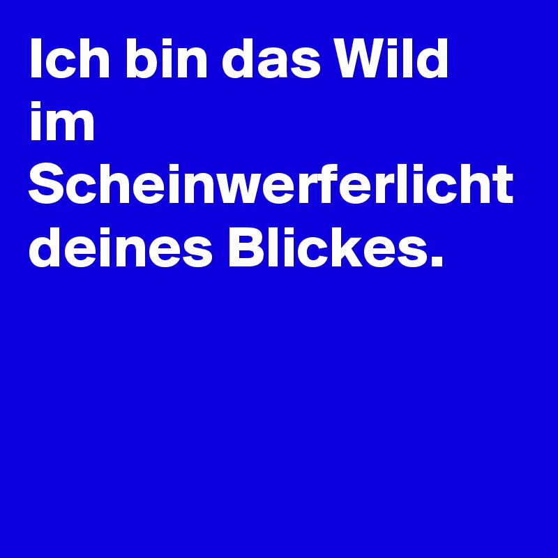 Ich bin das Wild im Scheinwerferlicht deines Blickes.