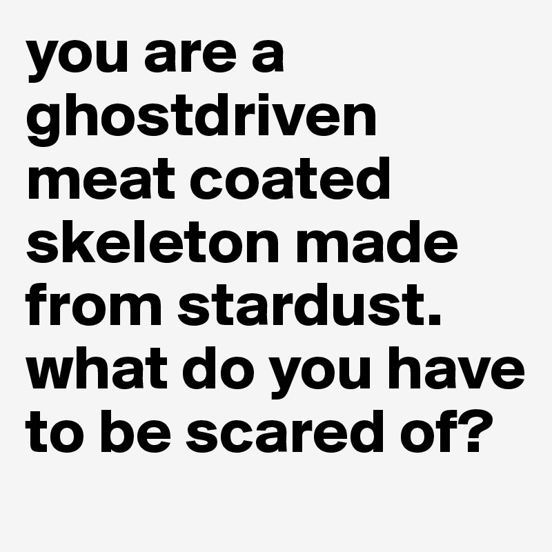 you are a ghostdriven meat coated skeleton made from stardust. what do you have to be scared of?