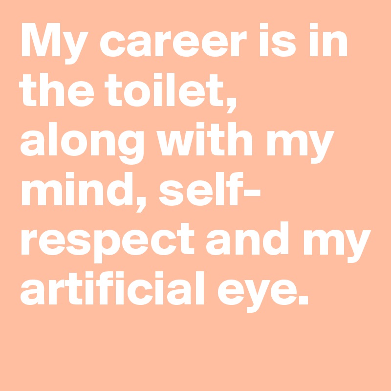 My career is in the toilet, along with my mind, self-respect and my artificial eye.