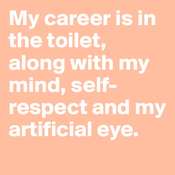 My career is in the toilet, along with my mind, self-respect and my artificial eye.