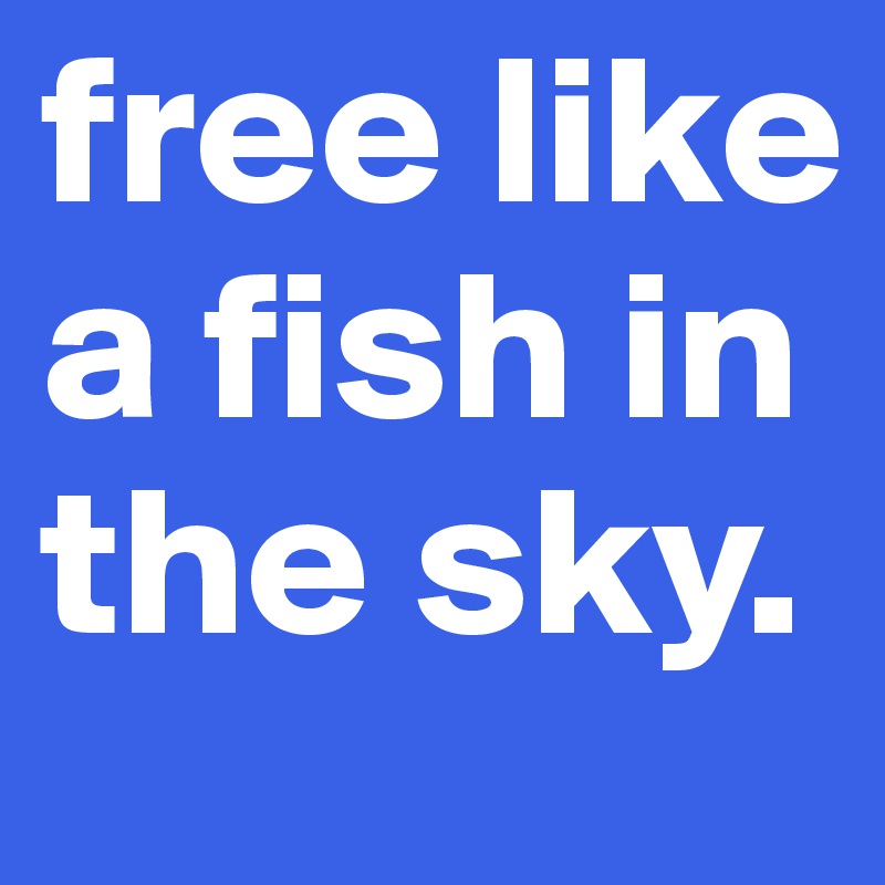 free like a fish in the sky.