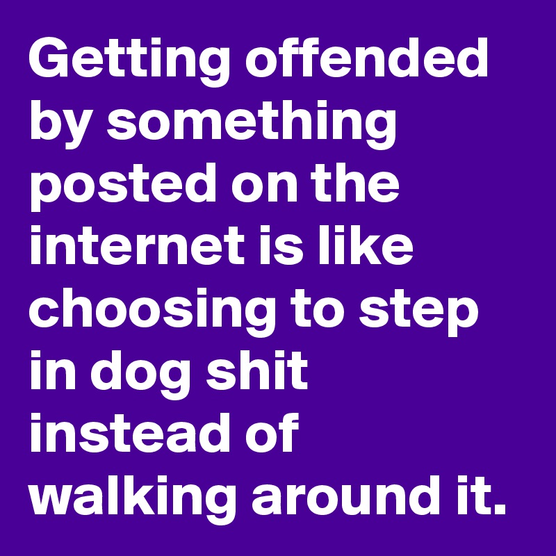 Getting offended by something posted on the internet is like choosing to step in dog shit instead of walking around it.  