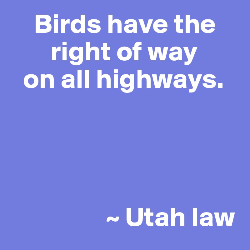     Birds have the
       right of way
  on all highways.




                 ~ Utah law