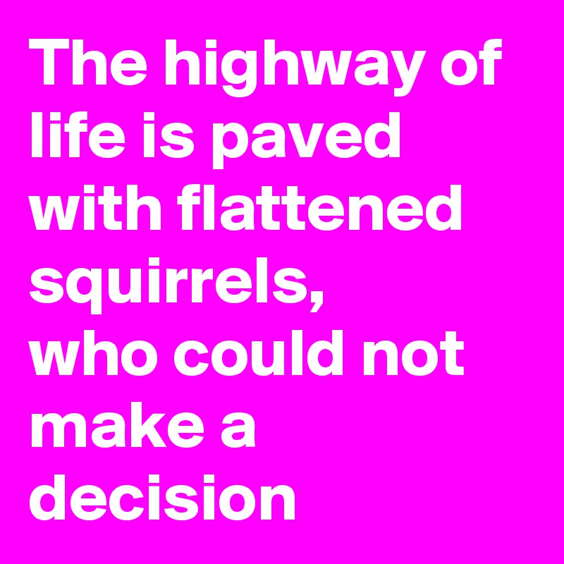 The highway of life is paved with flattened squirrels,       who could not make a decision 