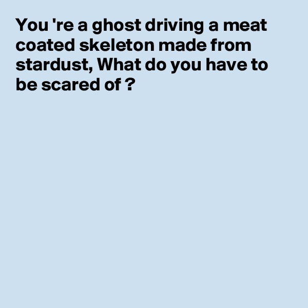 You 're a ghost driving a meat coated skeleton made from stardust, What do you have to be scared of ?









