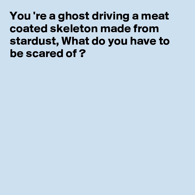 You 're a ghost driving a meat coated skeleton made from stardust, What do you have to be scared of ?









