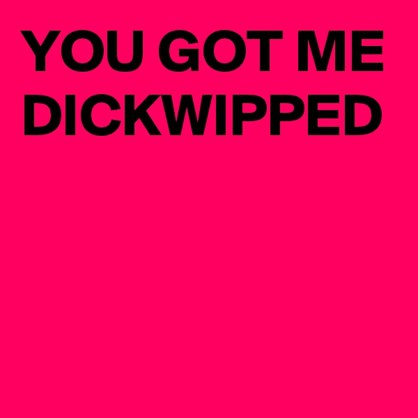 YOU GOT ME DICKWIPPED
