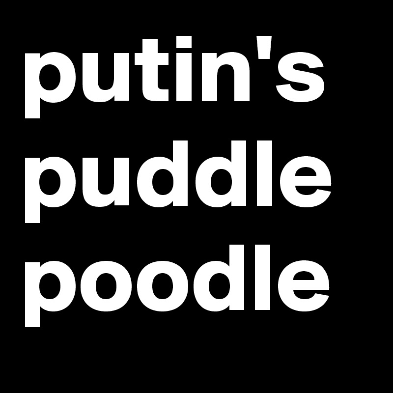 putin's puddle  poodle