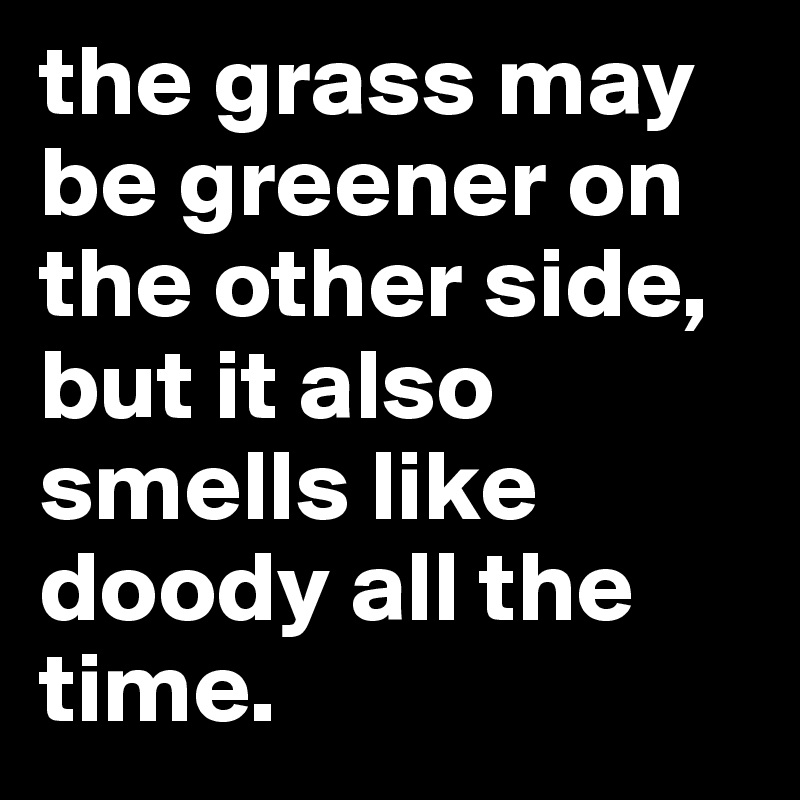 the grass may be greener on the other side, but it also smells like doody all the time.