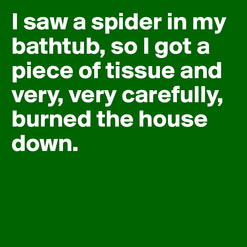 I saw a spider in my bathtub, so I got a piece of tissue and very, very carefully, burned the house down. 


