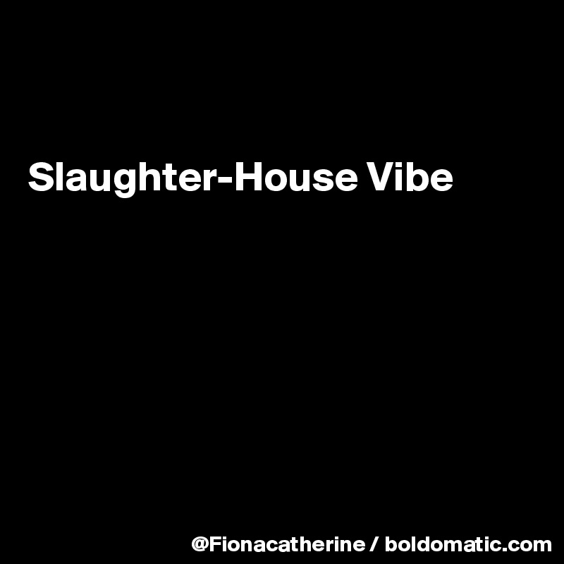


Slaughter-House Vibe







