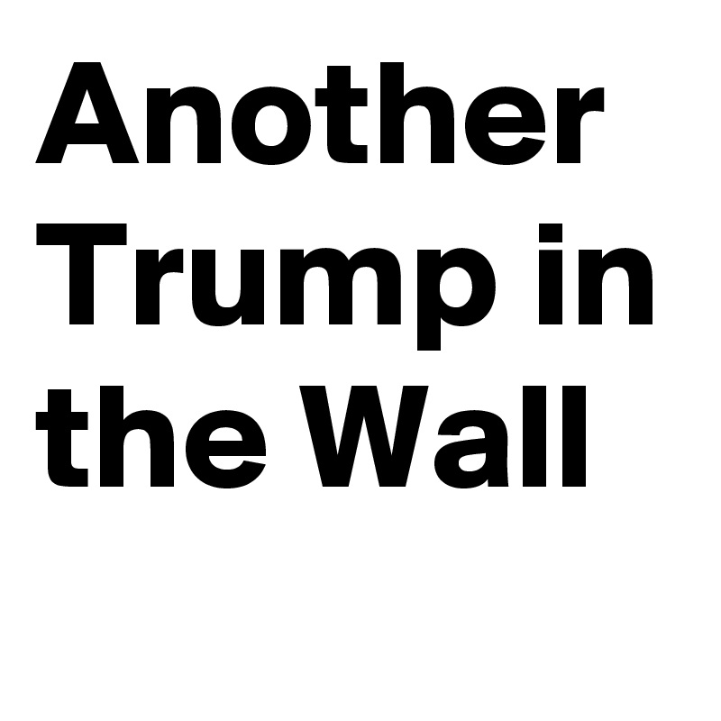 Another Trump in the Wall