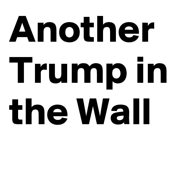 Another Trump in the Wall