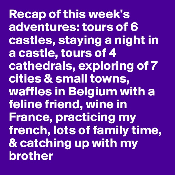 Recap of this week's adventures: tours of 6 castles, staying a night in a castle, tours of 4 cathedrals, exploring of 7 cities & small towns, waffles in Belgium with a feline friend, wine in France, practicing my french, lots of family time, & catching up with my brother