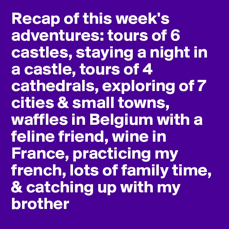 Recap of this week's adventures: tours of 6 castles, staying a night in a castle, tours of 4 cathedrals, exploring of 7 cities & small towns, waffles in Belgium with a feline friend, wine in France, practicing my french, lots of family time, & catching up with my brother