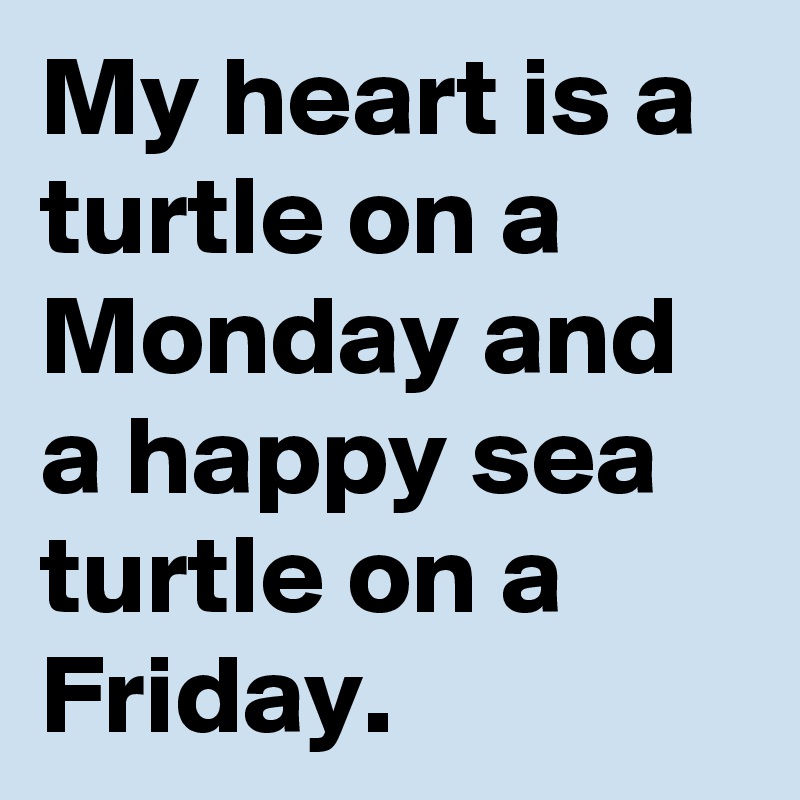 My heart is a turtle on a Monday and a happy sea turtle on a Friday. 