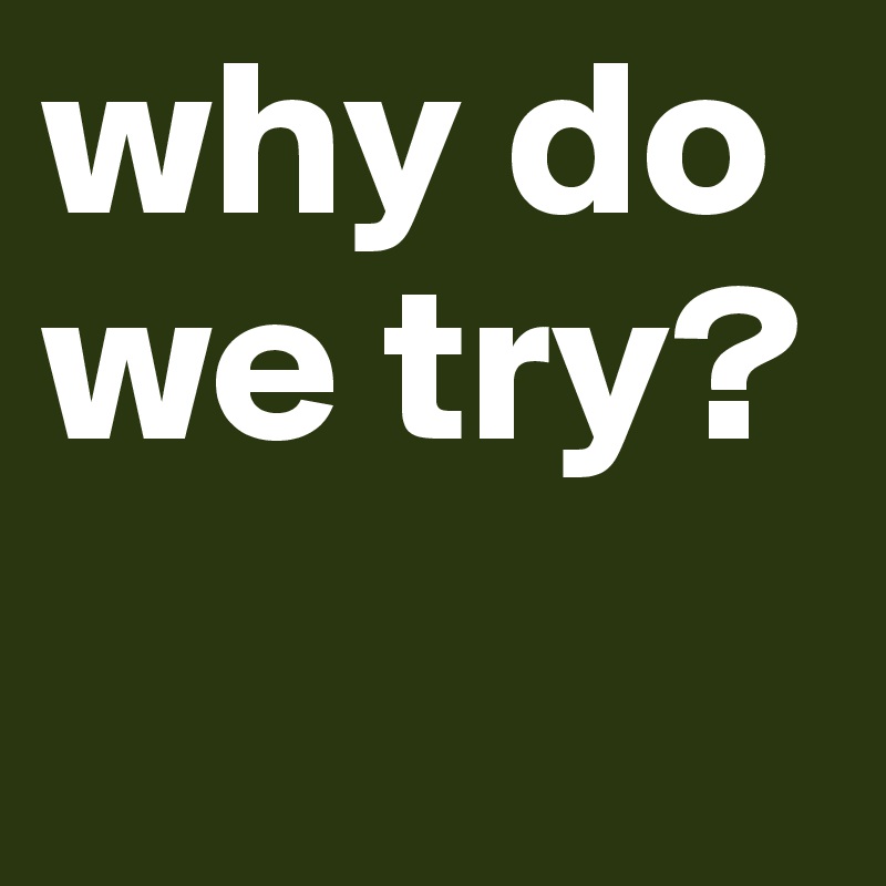 why do we try?