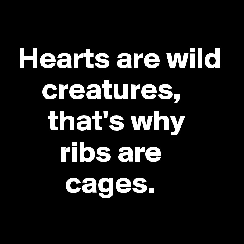 
 Hearts are wild      creatures,
      that's why
        ribs are
         cages.

