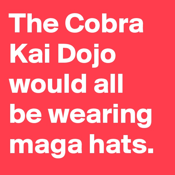 The Cobra Kai Dojo would all be wearing maga hats.