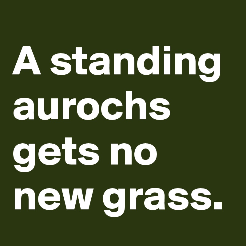 A standing aurochs gets no new grass.