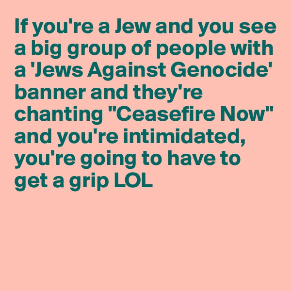 If you're a Jew and you see a big group of people with a 'Jews Against Genocide' banner and they're chanting "Ceasefire Now" and you're intimidated, you're going to have to get a grip LOL



