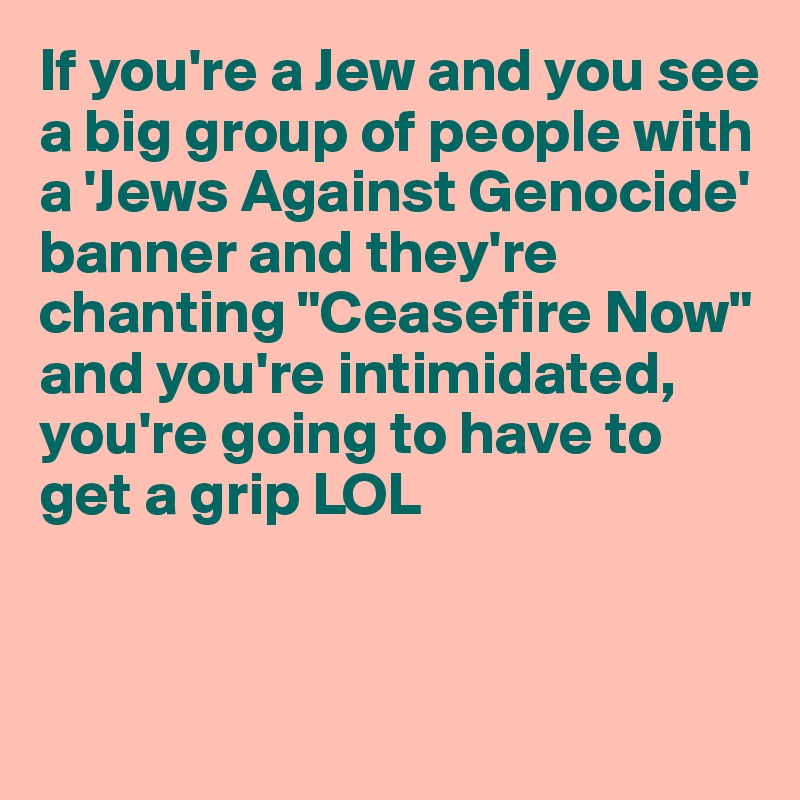 If you're a Jew and you see a big group of people with a 'Jews Against Genocide' banner and they're chanting "Ceasefire Now" and you're intimidated, you're going to have to get a grip LOL


