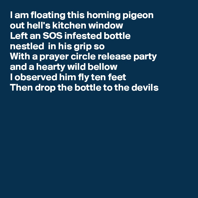 I am floating this homing pigeon
out hell's kitchen window
Left an SOS infested bottle
nestled  in his grip so
With a prayer circle release party
and a hearty wild bellow
I observed him fly ten feet
Then drop the bottle to the devils








