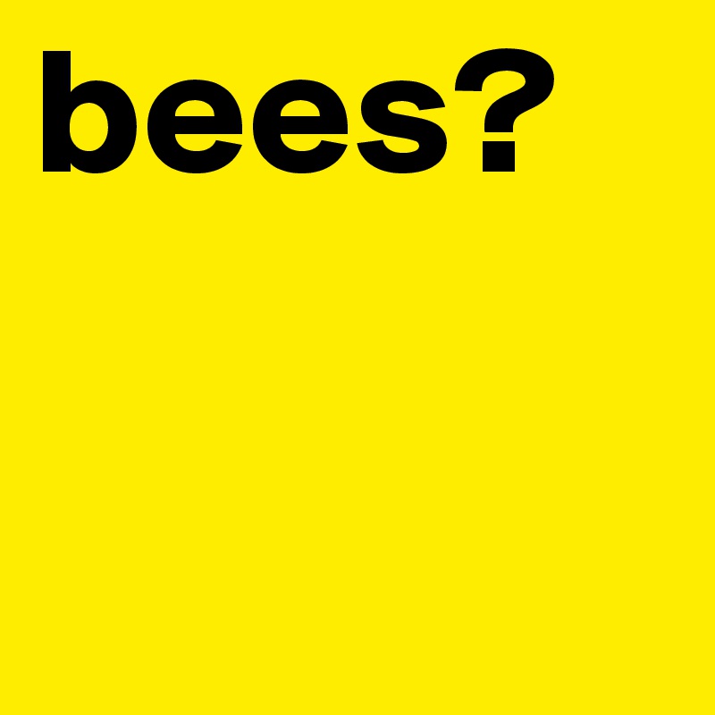 bees?