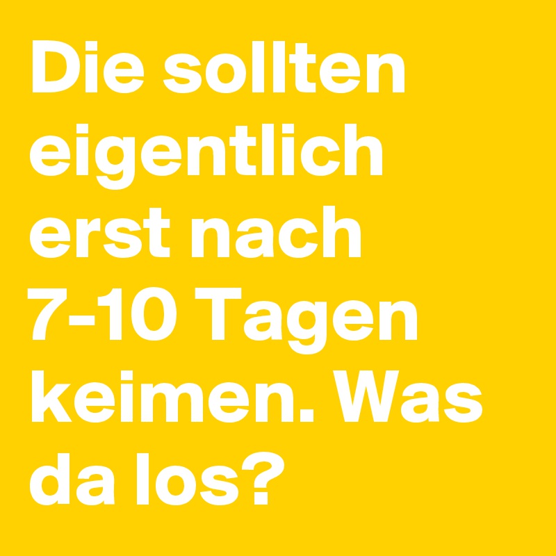 Die sollten eigentlich erst nach 7-10 Tagen keimen. Was da los? 