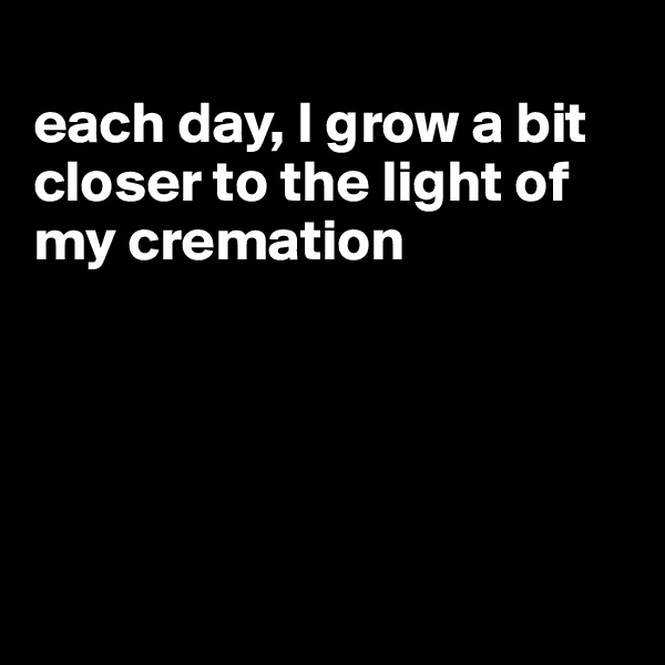 
each day, I grow a bit closer to the light of my cremation





