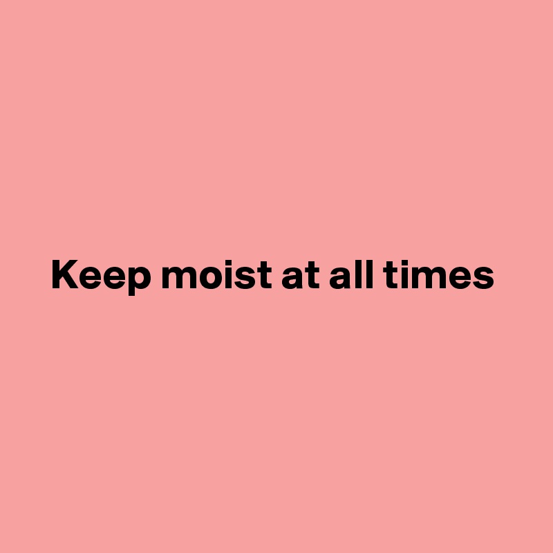 




Keep moist at all times




