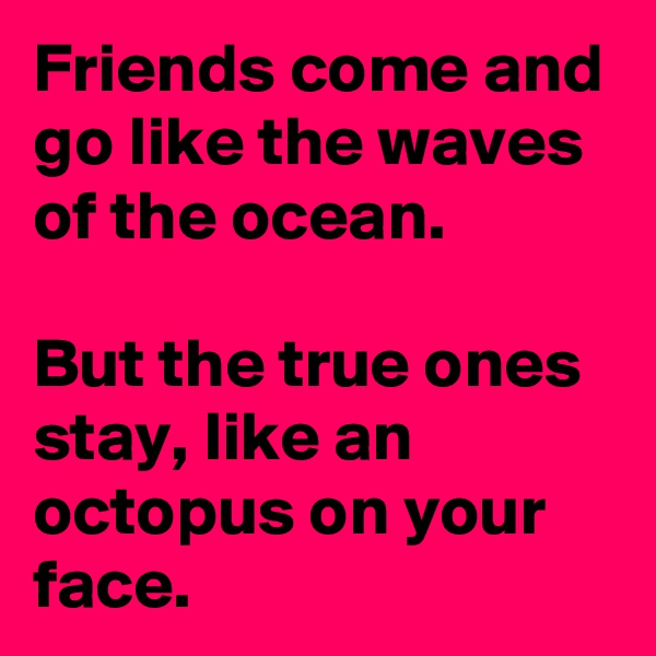 Friends come and go like the waves of the ocean.

But the true ones stay, like an octopus on your face. 