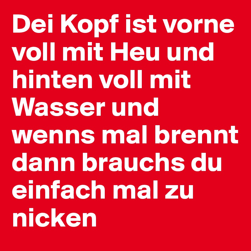 Dei Kopf ist vorne voll mit Heu und hinten voll mit Wasser und wenns mal brennt dann brauchs du einfach mal zu nicken