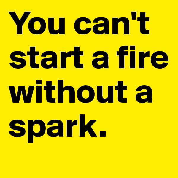 You can't start a fire without a spark.