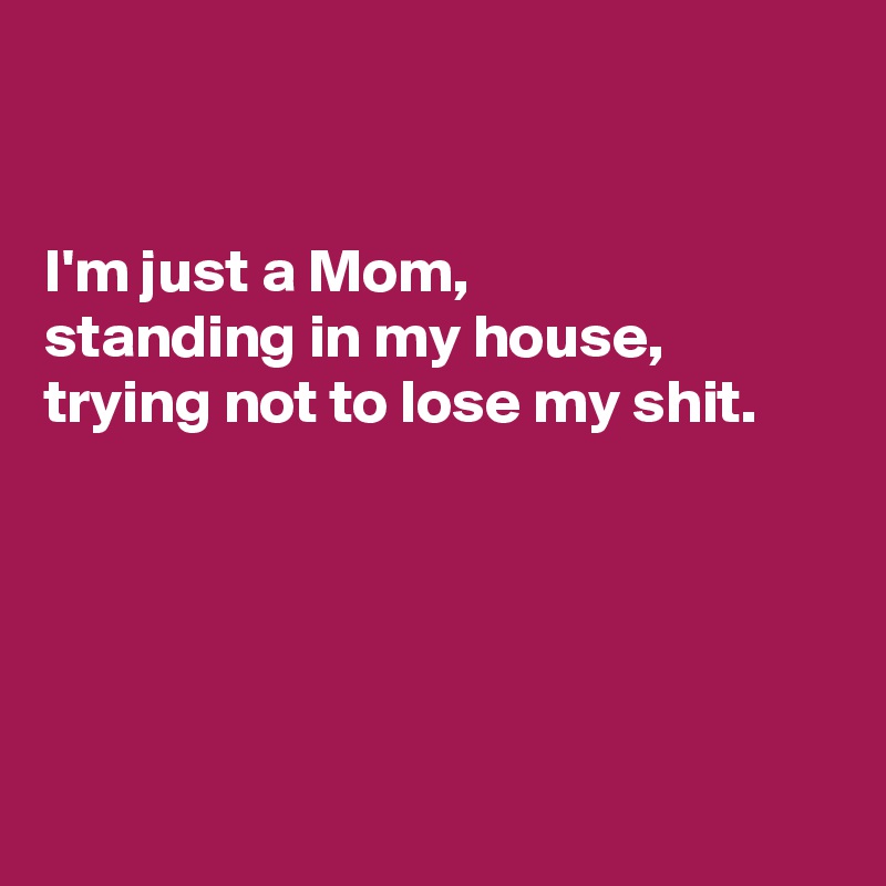 


I'm just a Mom, 
standing in my house,
trying not to lose my shit.





