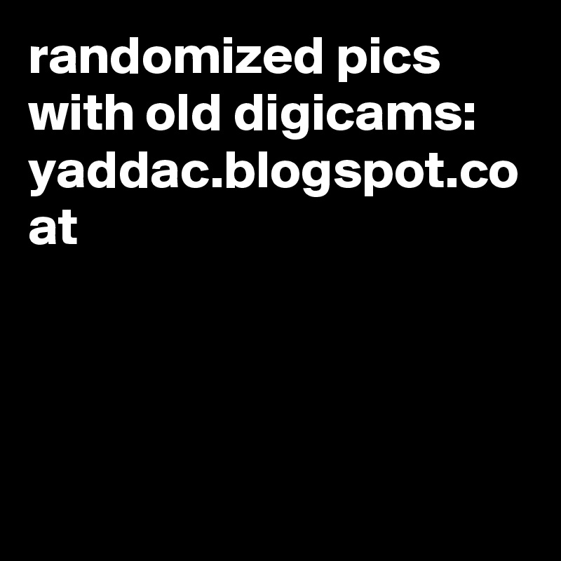 randomized pics with old digicams:
yaddac.blogspot.co at