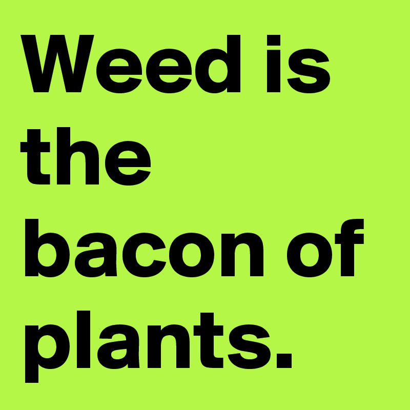Weed is the bacon of plants.