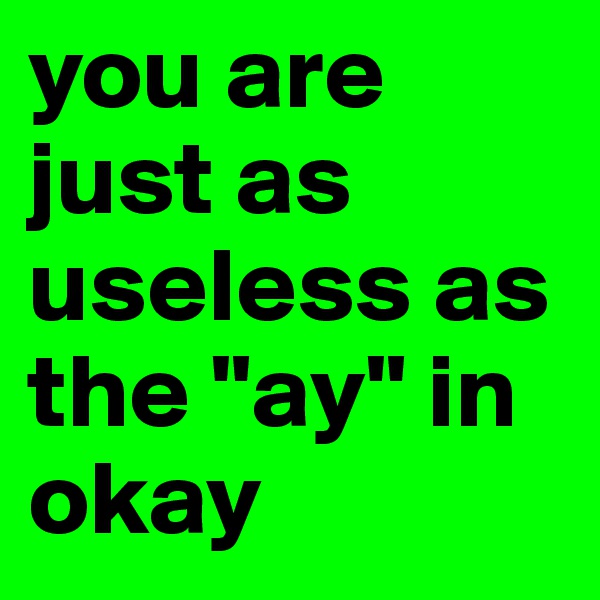 you are just as useless as the "ay" in okay