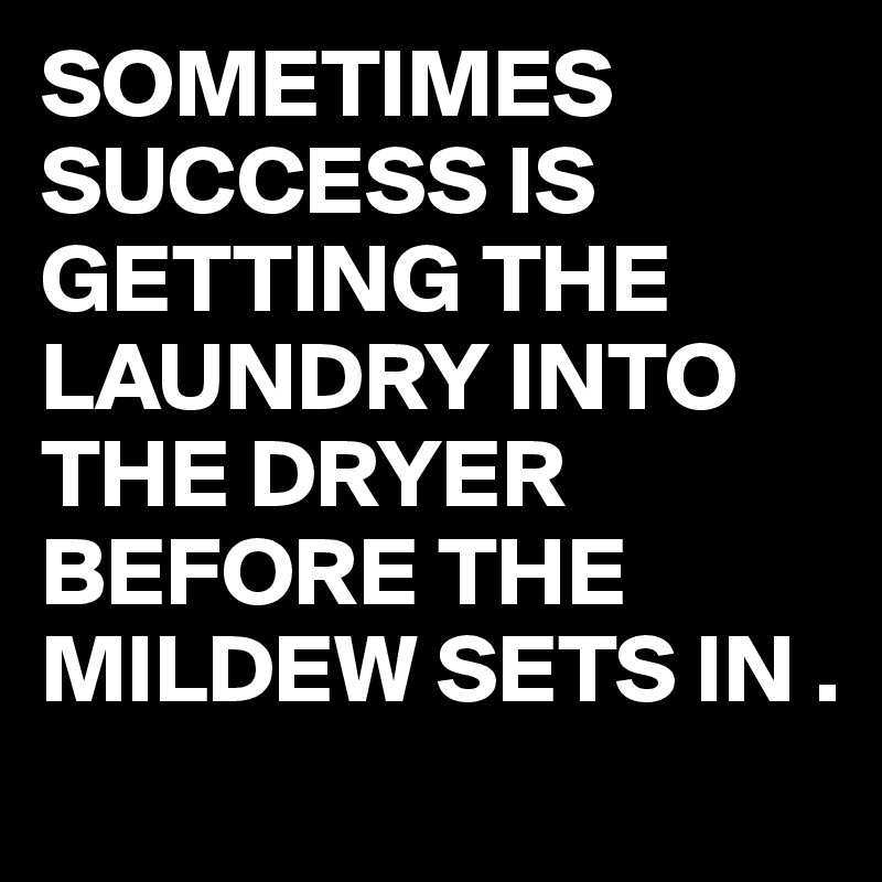 SOMETIMES SUCCESS IS GETTING THE LAUNDRY INTO THE DRYER BEFORE THE MILDEW SETS IN .