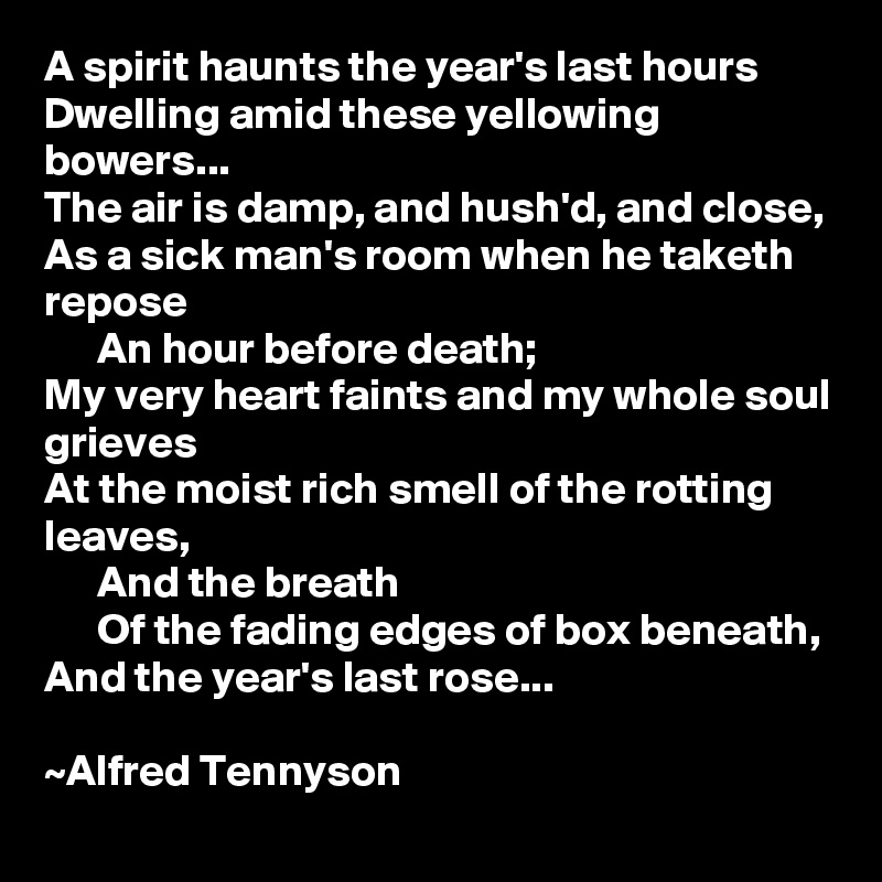 A spirit haunts the year's last hours
Dwelling amid these yellowing bowers...
The air is damp, and hush'd, and close,
As a sick man's room when he taketh repose
      An hour before death;
My very heart faints and my whole soul grieves
At the moist rich smell of the rotting leaves,
      And the breath
      Of the fading edges of box beneath,
And the year's last rose...

~Alfred Tennyson