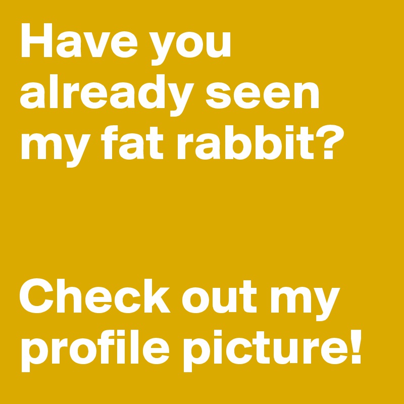 Have you already seen my fat rabbit? 


Check out my profile picture! 
