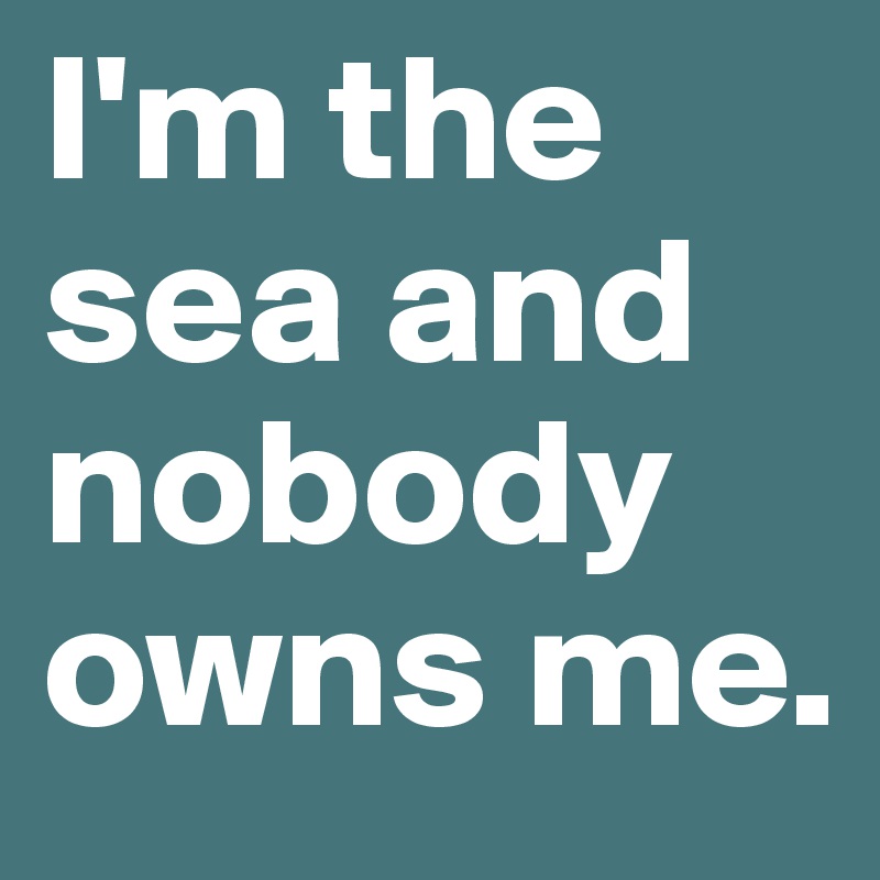 I'm the sea and nobody owns me. 